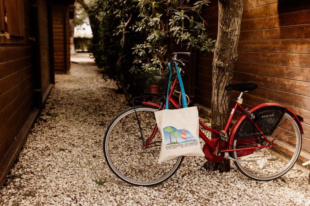 Camping La Pineta Porto Recanati Exterior foto